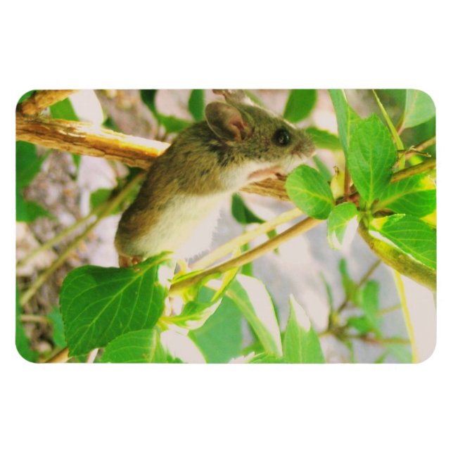 Mouse Magnet (Horizontal)