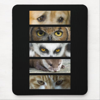 Mouse Mat - Animals Eyes