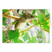 Mouse Notecard (Front Horizontal)