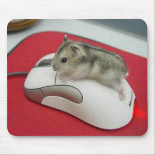 Mouse On A Mouse Mousepad