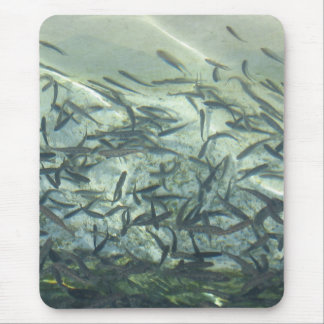 Mouse pad
