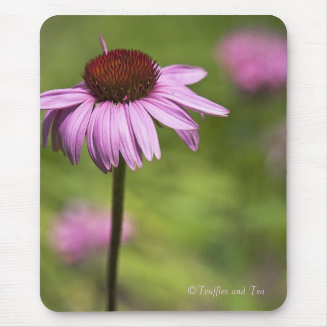 Mouse Pad (Front)