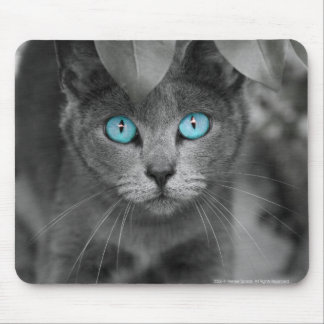 Mouse Pad