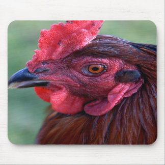 Mouse Pad
