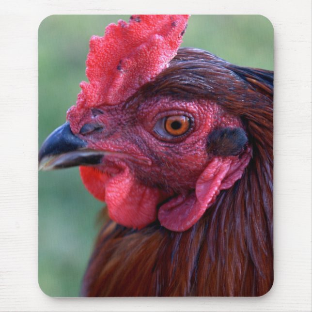 Mouse Pad (Front)