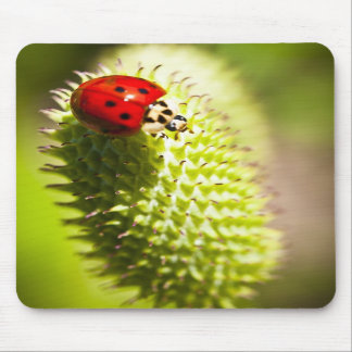 Mouse Pad