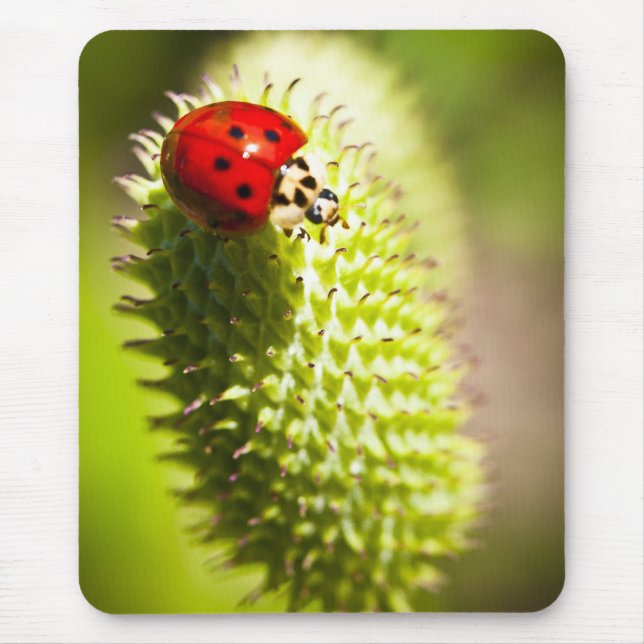 Mouse Pad (Front)