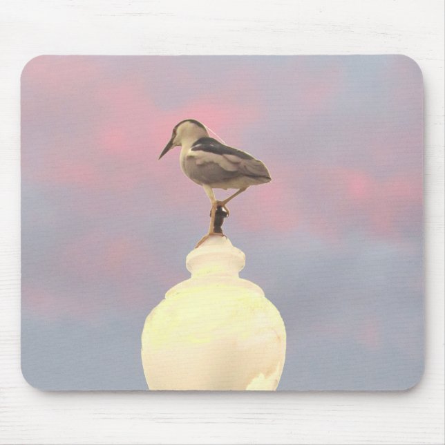 Mouse Pad - Black-Crowned Night-Heron (Front)