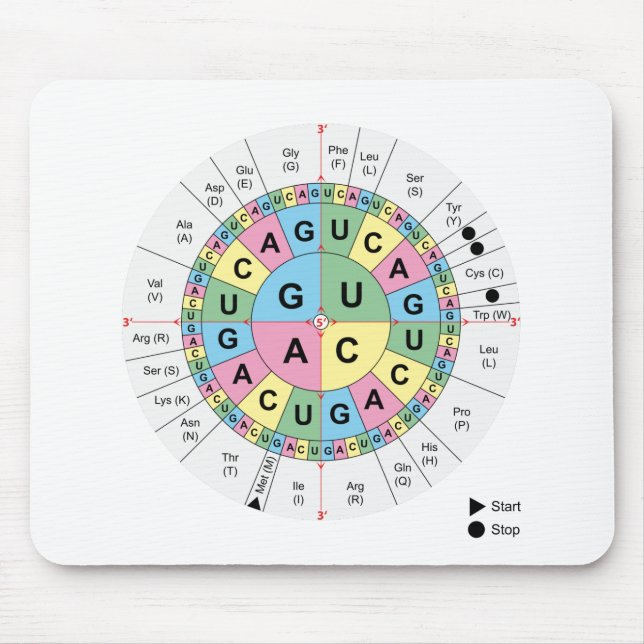 Mouse Pad Codons Amino Acids Genetic Code DNA (Front)