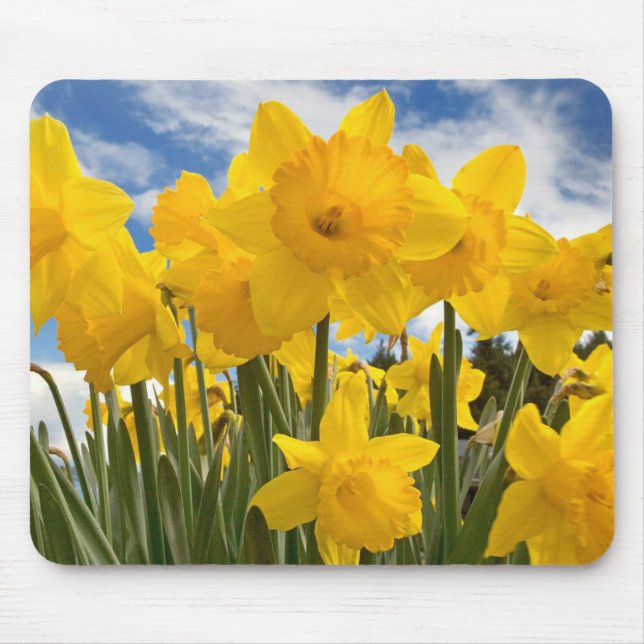 Mouse Pad-Daffodils Pad (Front)