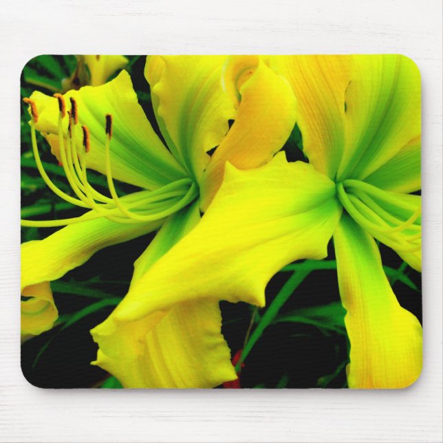 Mouse Pad: Daylily Pad (Front)