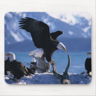 Mouse Pad-Eagles Mouse Pad