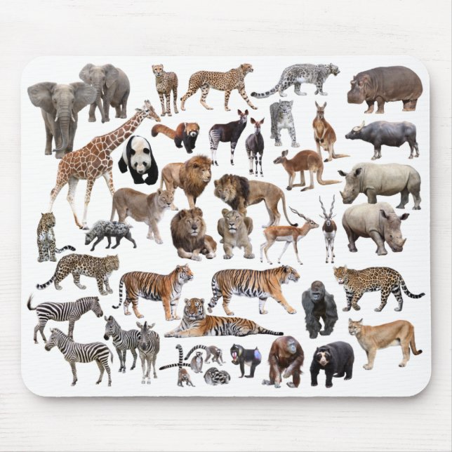 Mouse Pad for Animals in the World,No.01 (Front)