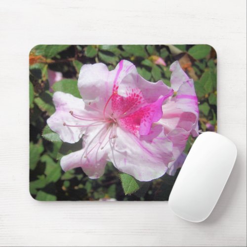 Mouse Pad _ George Taber Azalea