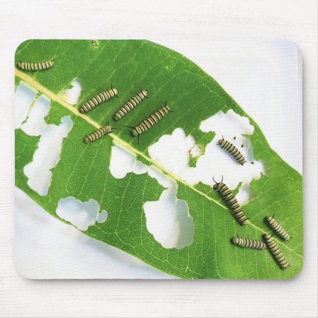 Mouse Pad Hungry Monarch Caterpillars (Front)