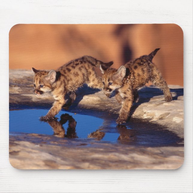Mouse Pad-Mountain Lion Cubs Pad (Front)