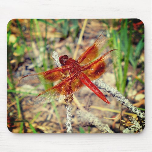 Mouse Pad Orange Dragonfly