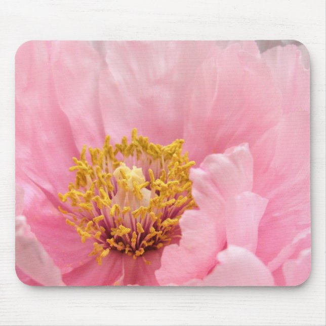 Mouse Pad: Pink Tree Peony Pad (Front)