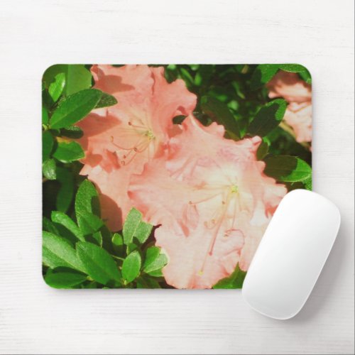 Mouse Pad _ Sunlit Peach Azaleas