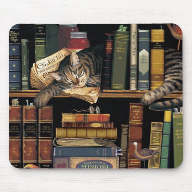 mouse pad w/ a cat sleeping in library books (Front)