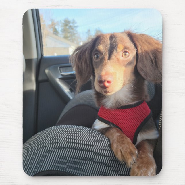 mouse pad with Kio the puppy (Front)