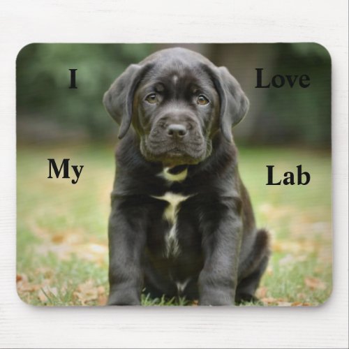 mouse pad with Lab