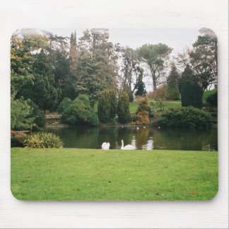 Mouse pad with landscape