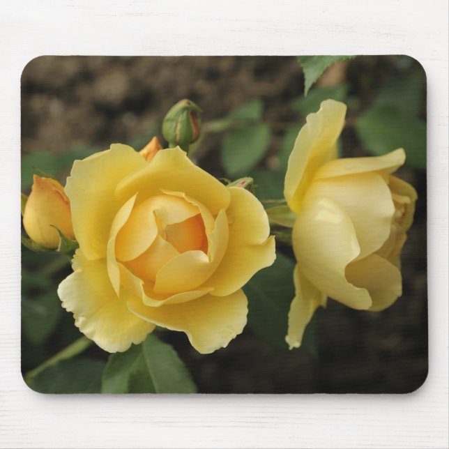 mouse pad with yellow roses (Front)
