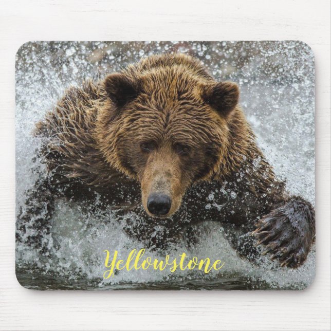 Mouse Pad-Yellowstone Bear Mouse Pad (Front)