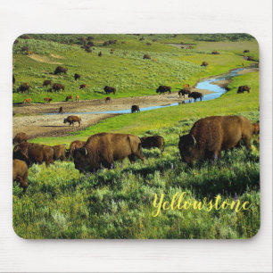 Mouse Pad-Yellowstone Buffalo Mouse Pad