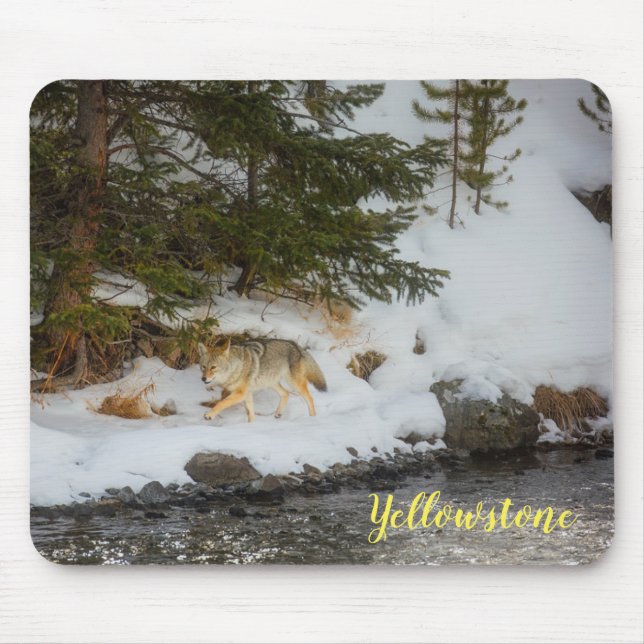 Mouse Pad-Yellowstone Coyote Mouse Pad (Front)