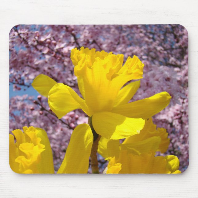 Mouse pads Spring Daffodils Pink Blossoms (Front)