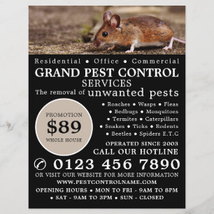 Mouse, Pest Control Advertising Flyer