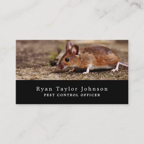 Mouse Pest Control Business Card