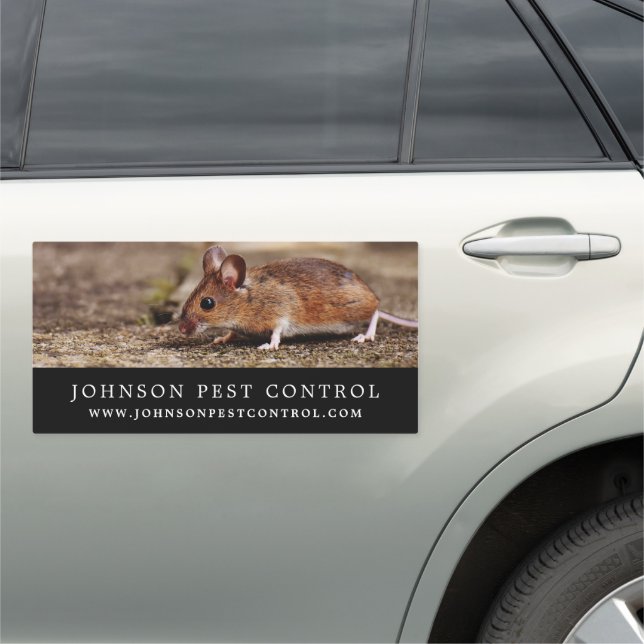 Mouse, Pest Control Car Magnet (In Situ)