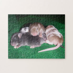 Mouse Puzzle: 4 Baby Mice Jigsaw Puzzle