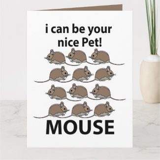 Mouse Rat Animal I Can Be Your Nice Pet Mouse
