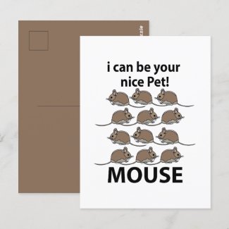 Mouse Rat Animal I Can Be Your Nice Pet Mouse