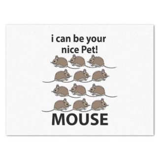Mouse Rat Animal I Can Be Your Nice Pet Mouse