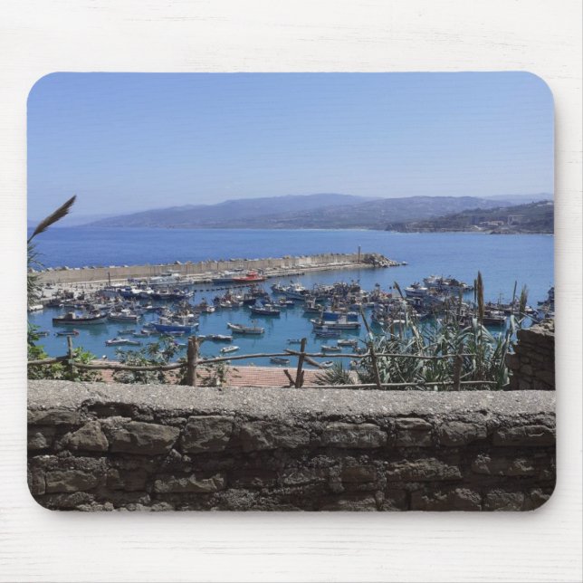 Mouse Summer Carpet Pad (Front)