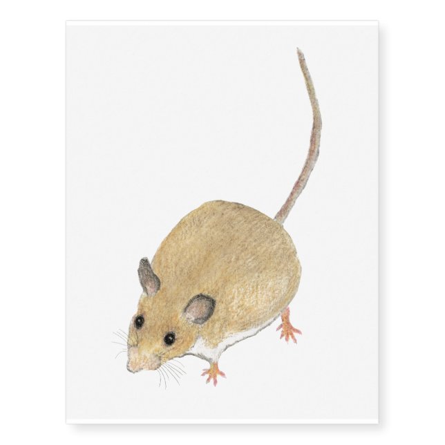 Mouse Temporary Tattoos (Front)