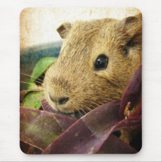 Mouse the Guinea Pig Mouse Pad