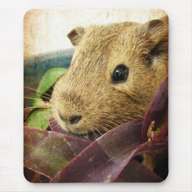 Mouse the Guinea Pig Mouse Pad (Front)