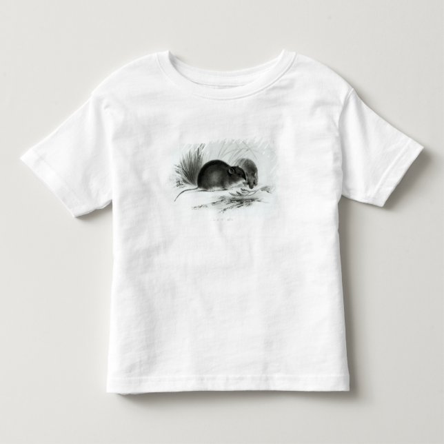 Mouse, Tierra del Fuego, South America c.1832-36 Toddler T-shirt (Front)