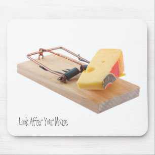 Mouse trap and cheese pad