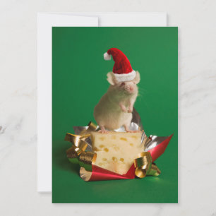 Mouse with Santa's hat with cheese Holiday Card