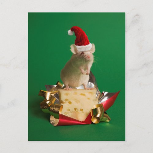 Mouse with Santas hat with cheese Holiday Postcard