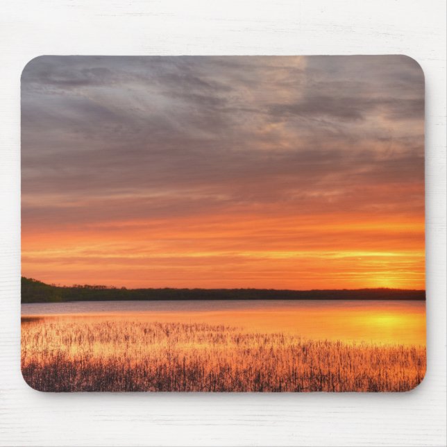 Mousepad (Front)
