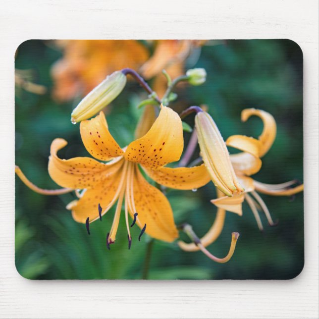 Mousepad (Front)