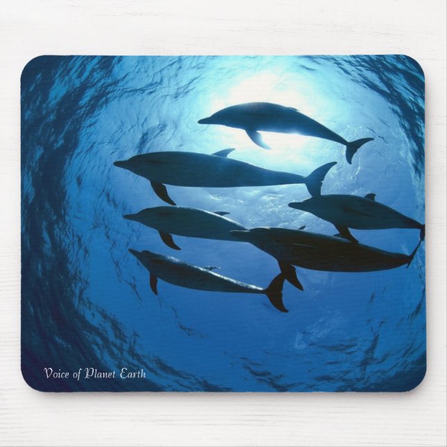 Mousepad 14 - Dolphins (Front)